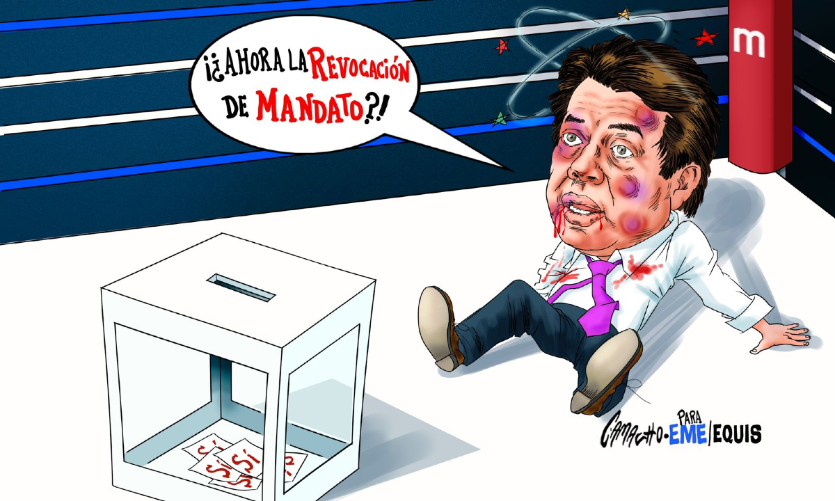 humor político y memes